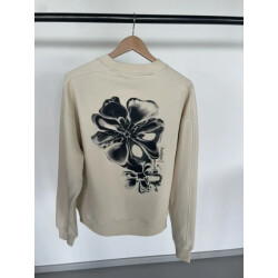 Aeden Zenric sweater summer