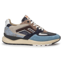 Floris van Bommel Sfm-10154--03 de treener