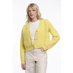 Rino & Pelle Isarea.5002621 rino&pelle short v-neck cardigan breezy lime