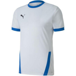Puma Heren teamgoal 23 jersey
