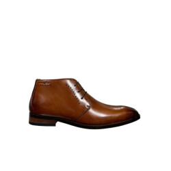 Van Lier 2459910 620