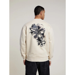 Aeden Zenric sweater summer