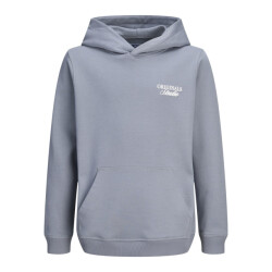 Jack & Jones Jornorrebro typo back sweat hood sn jnr raf