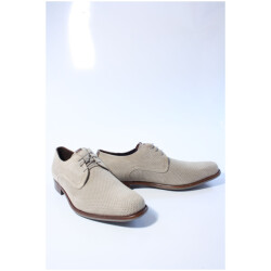 Floris van Bommel 30316 de draver