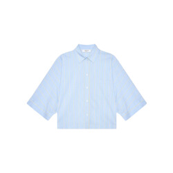 Janice Carl blouses carl