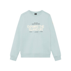 Indian Blue Sweat 960599