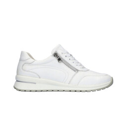 Waldläufer H-inessa