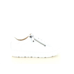 Hartjes 162.1409 wijdte h