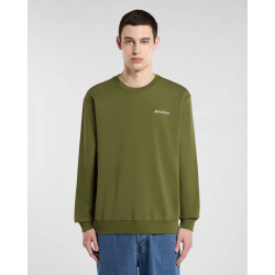 Dickies Sweatshirt dk0a88ock721