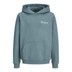 Jack & Jones Jcodust script sweat hood sa26 jnr oud