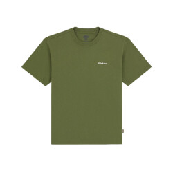 Dickies T-shirt korte mouw dk0a89enk721