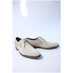 Floris van Bommel 30361 de stapper