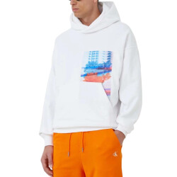 Calvin Klein Heren regular hoodie