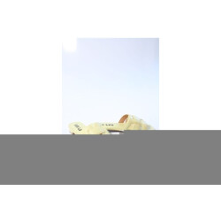 Bibi Lou 760z10vk slippers