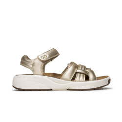 Xsensible Magnolia h