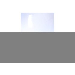 Australian Footwear Hawker sneakers