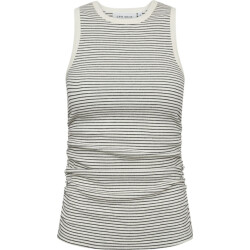 CPH Muse Cmsiv top jet stream