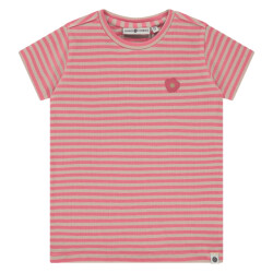 Stains & Stories  Ssa26108616