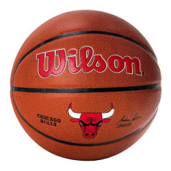 Wilson Team alliance chicago bulls basketbal