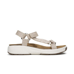 Xsensible Passiflora h