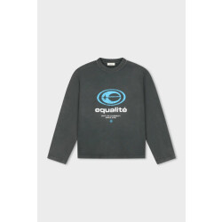 Equalité Elan oversized longsleeve tee washed