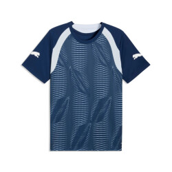 Puma individualfinal jersey voetbalshirt korte mouw heren -