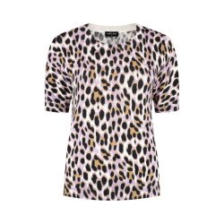 Lady Day Sage truik km