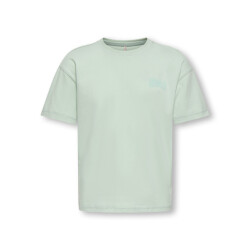 Only Koghelen life ss loose tee mint