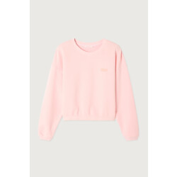 American Vintage Izubird sweater