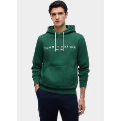 Tommy Hilfiger Hoodie heren tommy logo hoody mw0mw11599/l2n